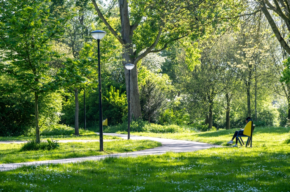Lightronics CEDER A2 armaturen langs een looppad in het Fabritiuspark in Heerhugowaard