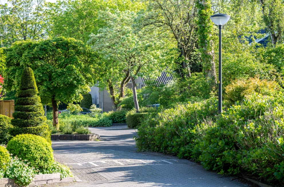 Lightronics CEDER A2 armaturen langs in weg in het Fabritiuspark in Heerhugowaard