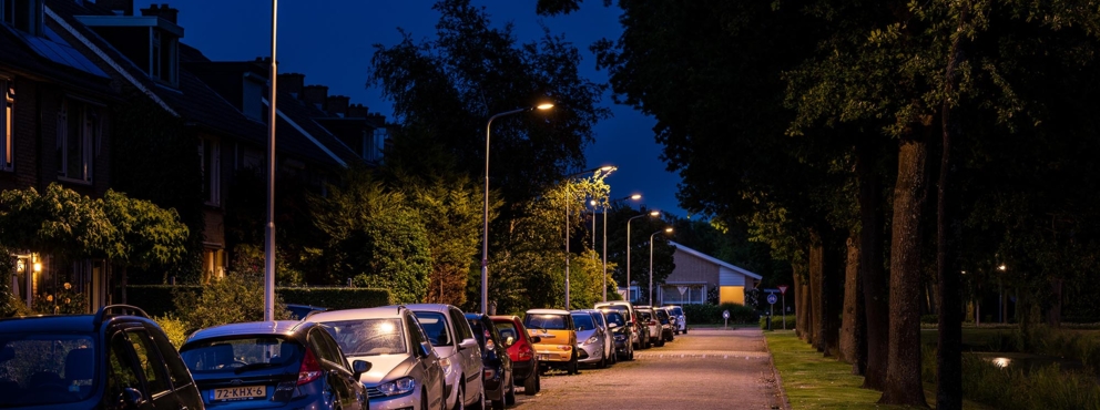 Lightronics Prunus E4 armaturen langs een straat in een woonwijk in Oud Beijerland