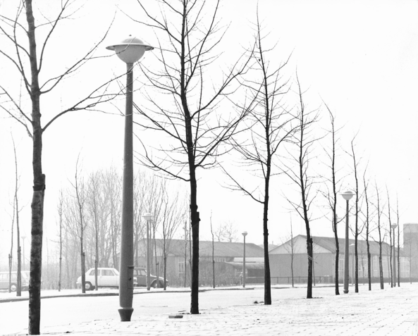 Historie Holbein Historie Holbein